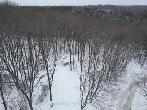 1579 Paynes Road, Highlands East, ON, K0M2Y0 | Card Image