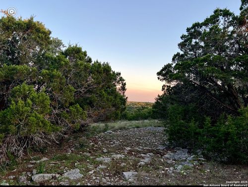 3938 Running Spgs, San Antonio, TX, 78261-2119 | Card Image