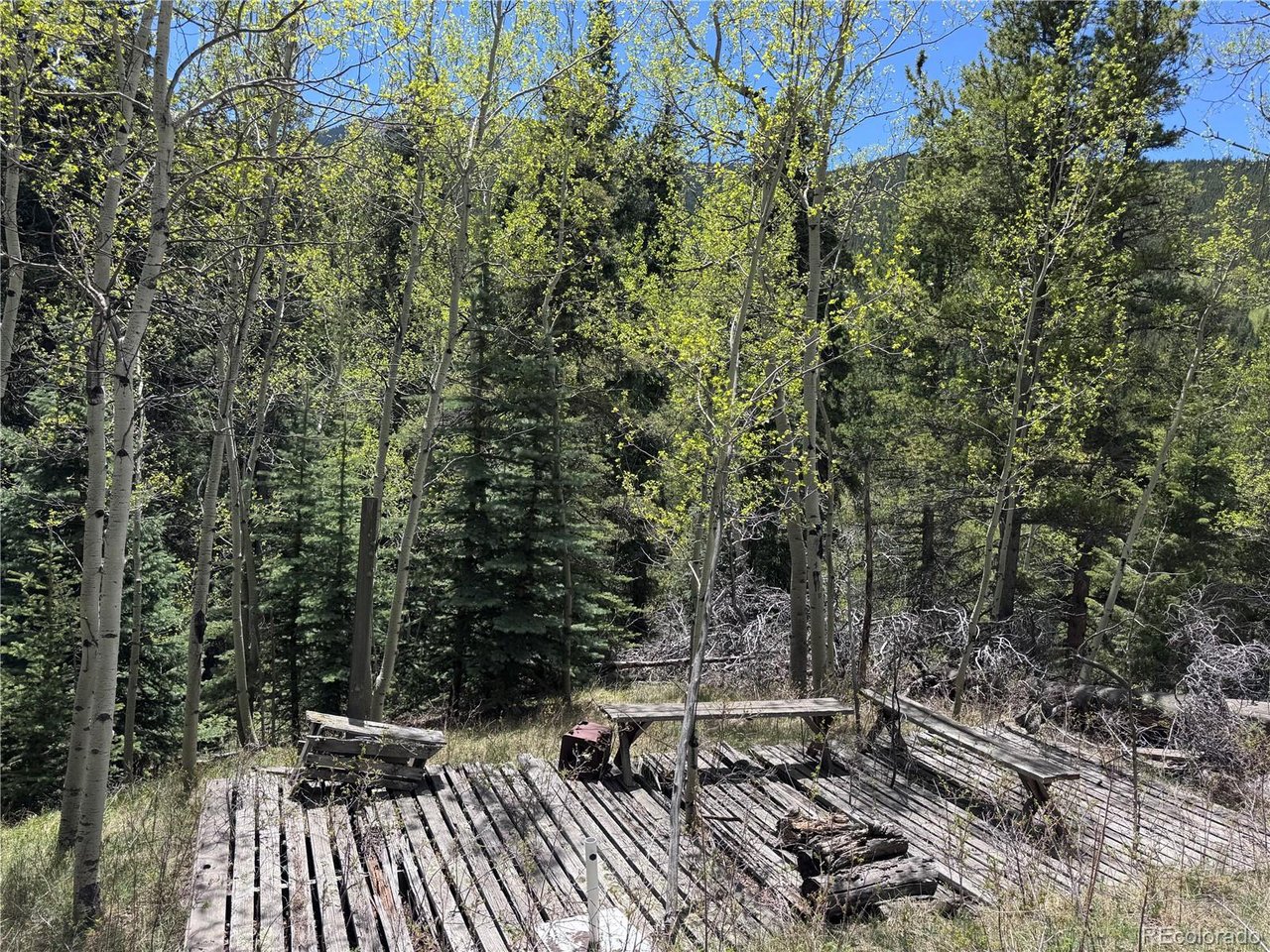 Residential in Idaho Springs 3
