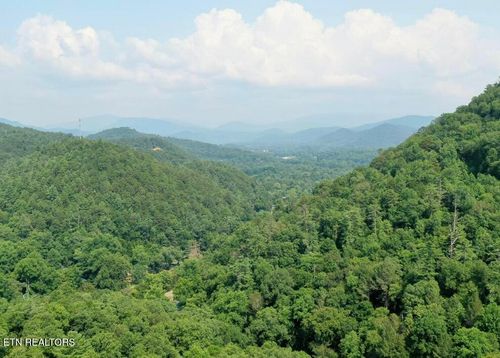 165 Anatole Pass, Townsend, TN, 37882-3036 | Card Image