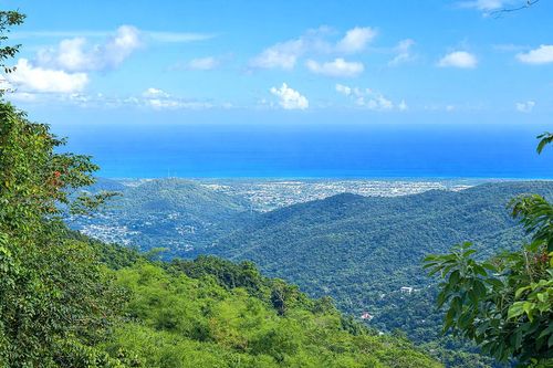 15 km 10.8 Bo Las Palmas, Guayama, PR, 00784 | Card Image