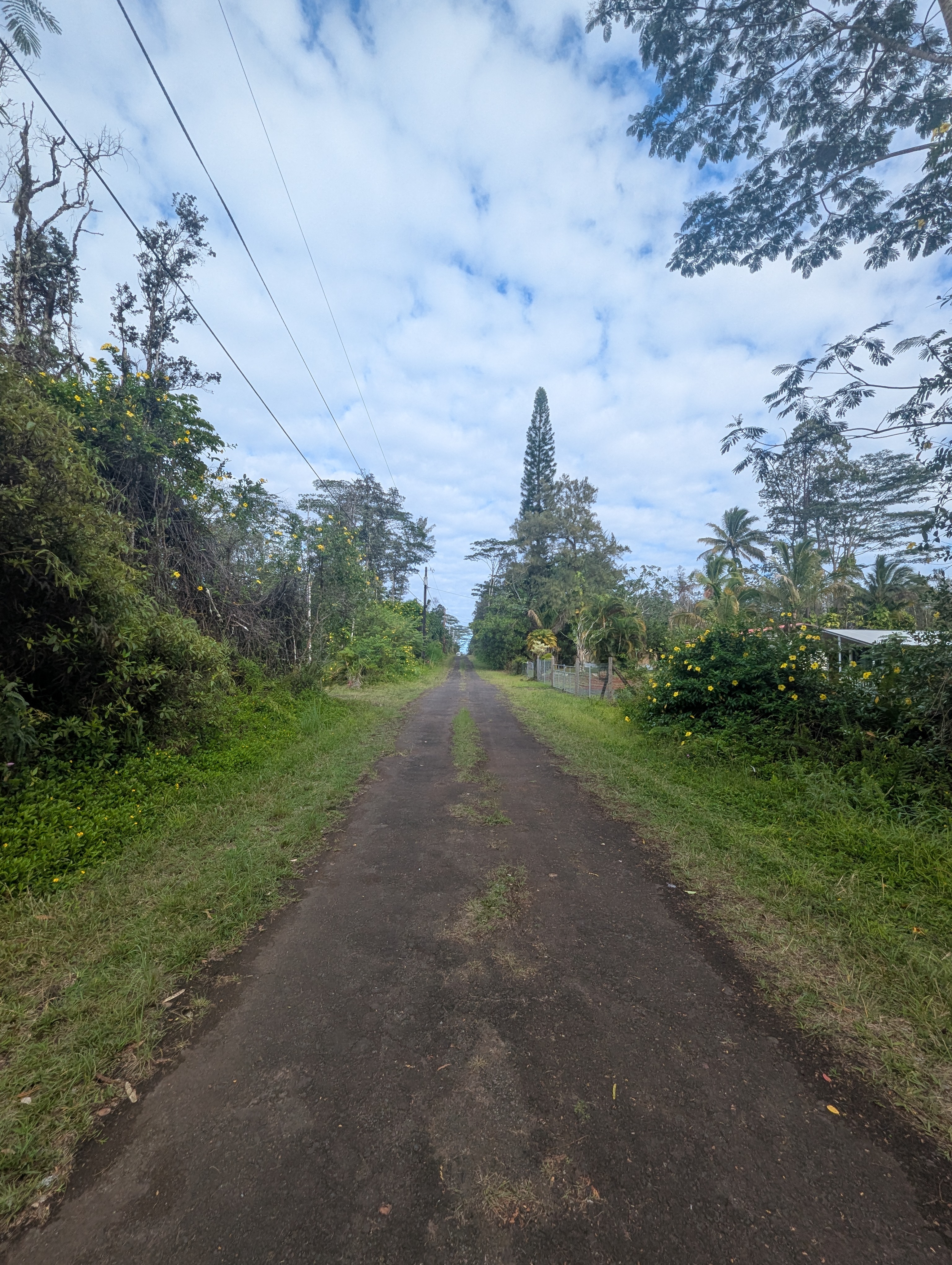 Land in Pahoa 2