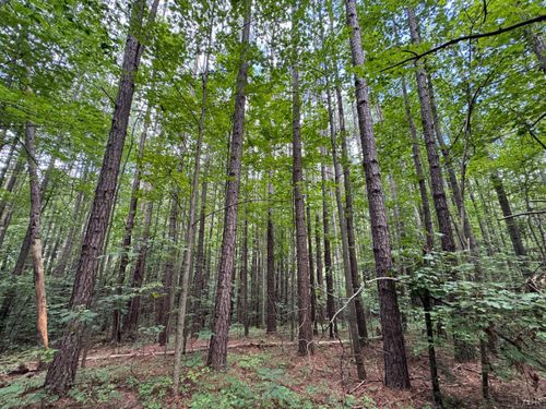 0 Holiday Lake Rd, Appomattox, VA, 24522 | Card Image