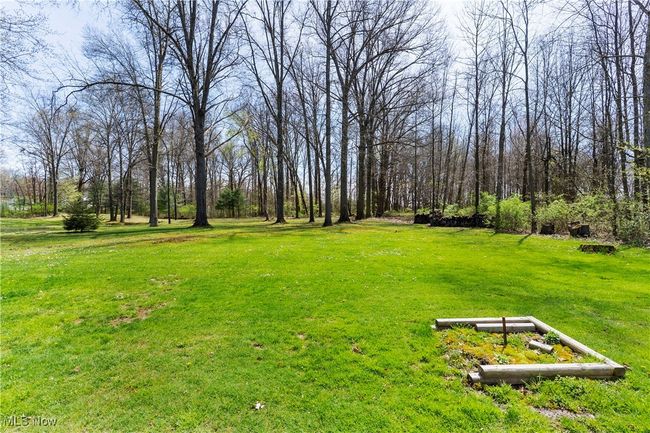 View of yard | Image 34