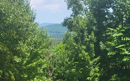 24 Mountain Knoll Ln, Warne, NC, 28909-0070 | Card Image