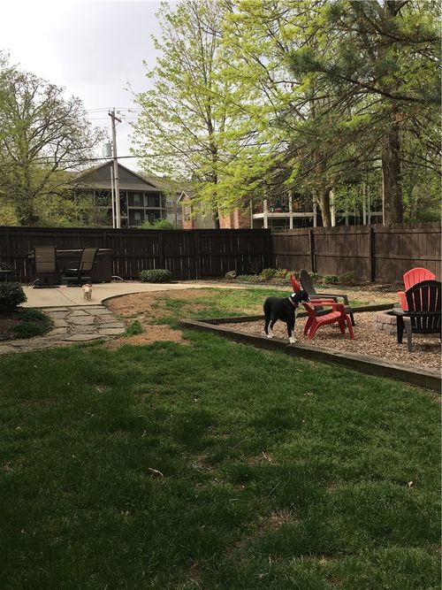 1417 N Addington Avenue, Fayetteville, AR, 72703 | Card Image