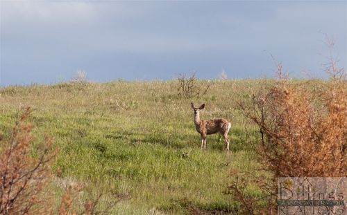 Lot 3 Pryor Creek Rd, Huntley, MT, 59037 | Card Image