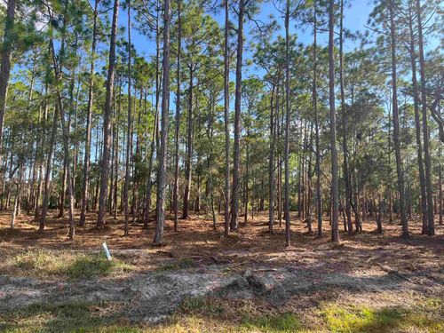 Lot 63 Sevier Street, OCHLOCKONEE BAY, FL, 32346 | Card Image