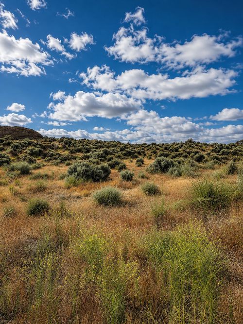 00200-0 Chinook Rd, Christmas Valley, OR, 97641 | Card Image
