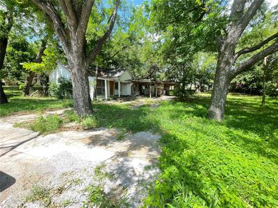 View of yard | Image 1