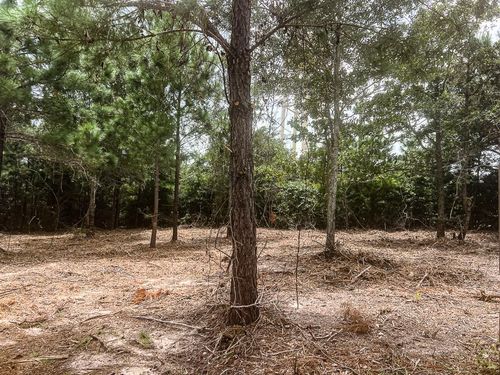 13553 County Road 446, Navasota, TX, 77868-4918 | Card Image