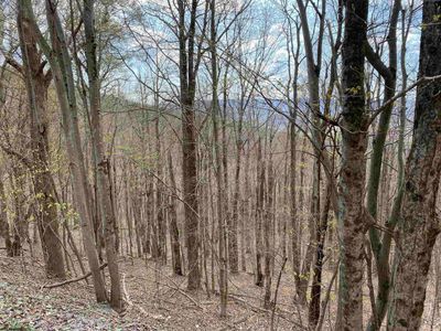 LOT-31 - 31 Mountainside Road, Home with 0 bedrooms, 0 bathrooms and null parking in Davis WV | Image 2