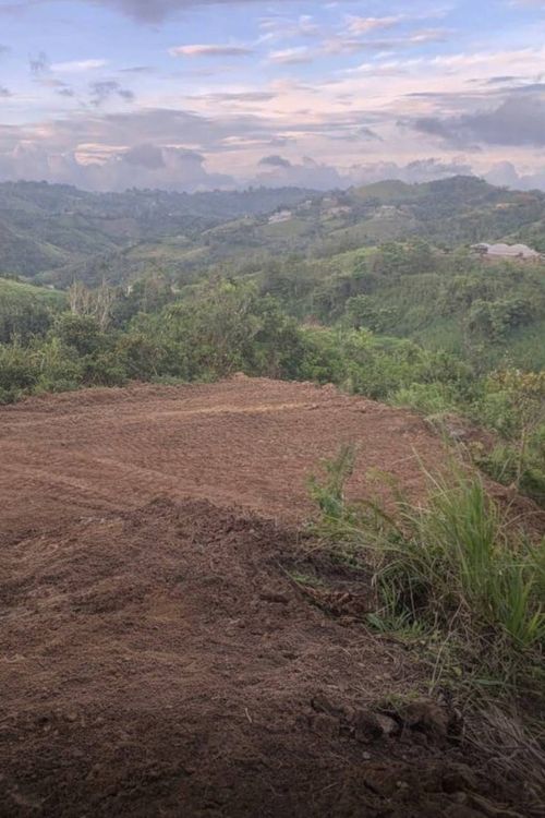 CARR.568 Bo Palmarito, Corozal, PR, 00783 | Card Image