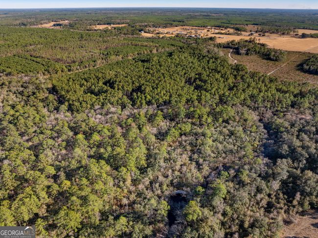 0 Highway 185, Home with 0 bedrooms, 0 bathrooms and null parking in Saint George GA | Image 9
