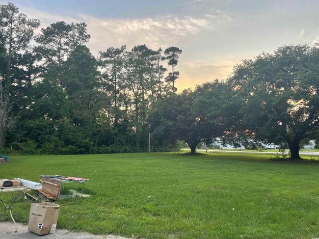 View of grassy yard | Image 39