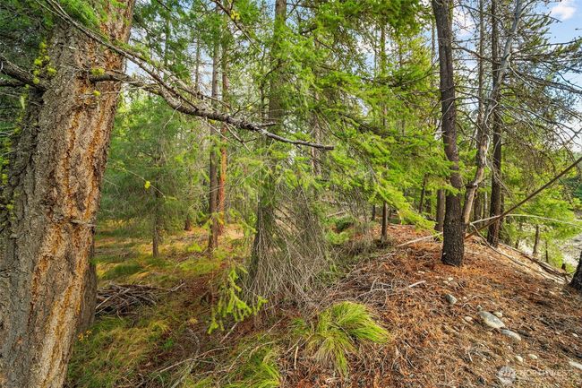 0 S Shugart Flats Rd, Home with 0 bedrooms, 0 bathrooms and null parking in Leavenworth WA | Image 36