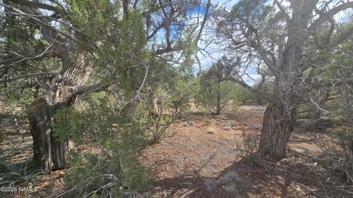 5476 N Forest Line Rd, Williams, AZ, 86046 | Card Image