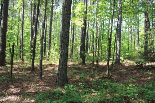 00 Hwy 87 Tract 2, Forsyth, GA, 31029 | Card Image