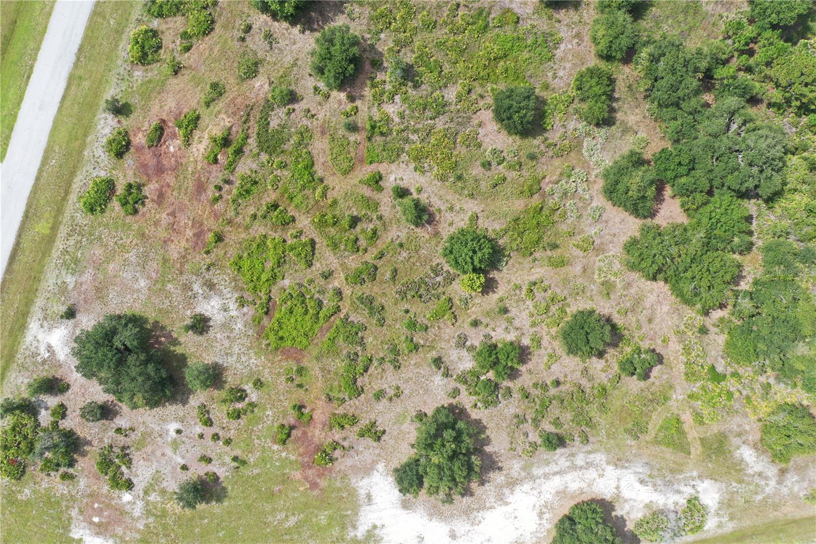 Land in MYAKKA CITY 5