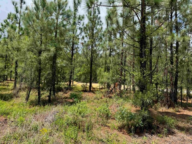 1698 Carriage Dr, Home with 0 bedrooms, 0 bathrooms and null parking in Loris SC | Image 10