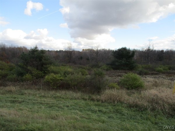 26908 Us Route 11, Evans Mills, NY 13637