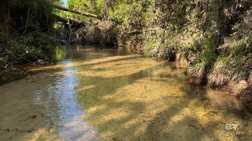 0 Lechner Rd, Robertsdale, AL, 36567 | Card Image