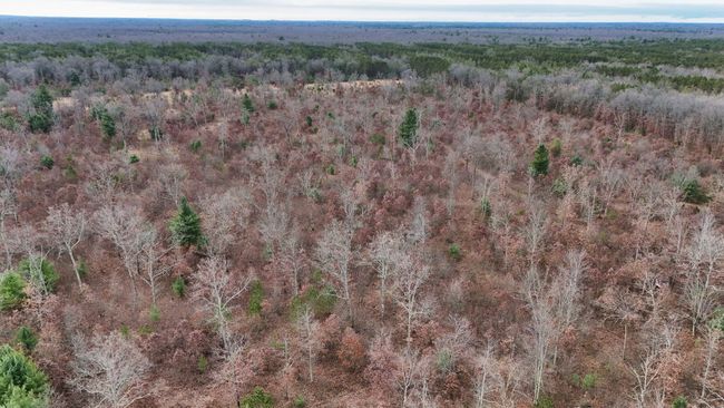 3726 N Custer Rd, Home with 0 bedrooms, 0 bathrooms and null parking in Manistee MI | Image 9