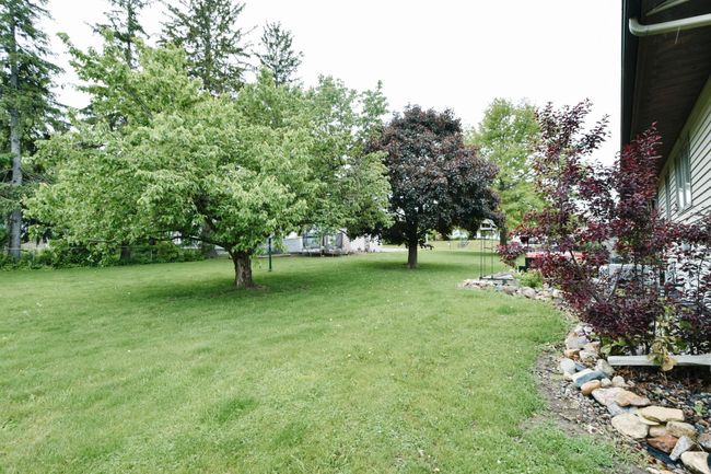 Backyard- Established trees and perenials. | Image 30