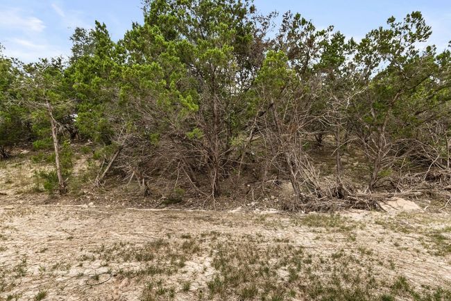 1063 Sleepy Holw, House other with 4 bedrooms, 4 bathrooms and 4 parking in Spring Branch TX | Image 22