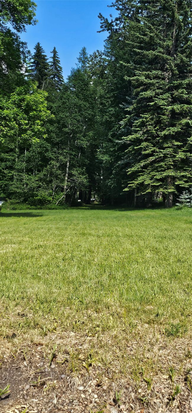 View of green lawn | Image 25