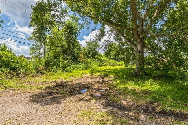 0 Davis Bend Rd, Home with 0 bedrooms, 0 bathrooms and null parking in Alvin TX | Image 28