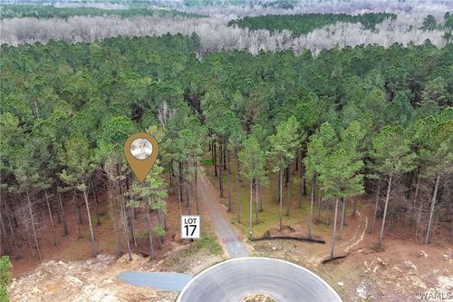 Lot #17 Stormi Way, Berry, AL, 35546 | Card Image