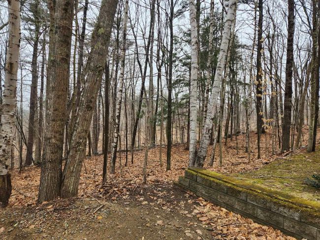 0 Dock Rd, Home with 0 bedrooms, 0 bathrooms and null parking in Gilmanton NH | Image 12