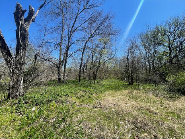 1021 N Branch St, Home with 0 bedrooms, 0 bathrooms and null parking in Sherman TX | Image 4
