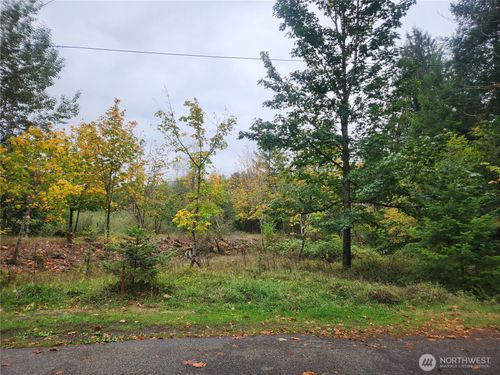 0 Lot 12 Slalom Way, Packwood, WA, 98361 | Card Image