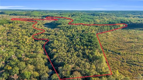 TBD Snake Branch Rd, Vernon, AL, 35592 | Card Image