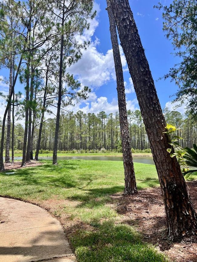 UNIT-1101 - 9481 Highland Oak Dr, Condo with 3 bedrooms, 2 bathrooms and null parking in TAMPA FL | Image 20