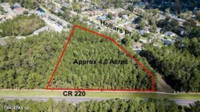 0 County Road 220, Home with 0 bedrooms, 0 bathrooms and null parking in Middleburg FL | Image 3