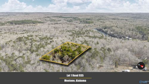 Lot 1 County Road 650, Mentone, AL, 35984-2453 | Card Image