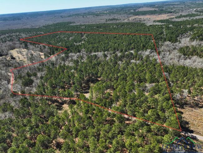 60 ac TBD Cr 1453, Home with 0 bedrooms, 0 bathrooms and null parking in Linden TX | Image 10