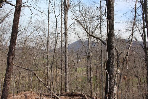 Lot 83A Licklog Ridge, Hayesville, NC, 28904 | Card Image