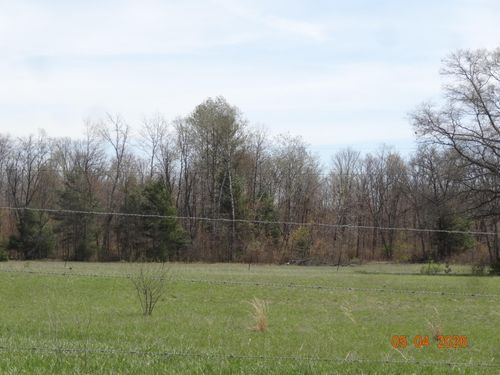 518 S Oak Ave, White Cloud, MI, 49349 | Card Image