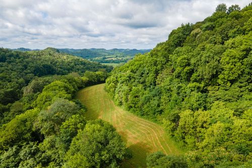 193 Dixon Ln, Pleasant Shade, TN, 37145-6035 | Card Image