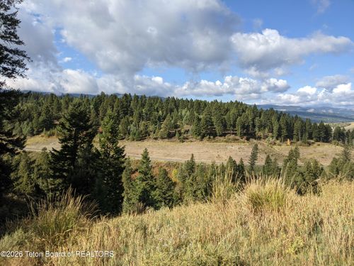 L50B4 Cutthroat Run, Irwin, ID, 83428 | Card Image