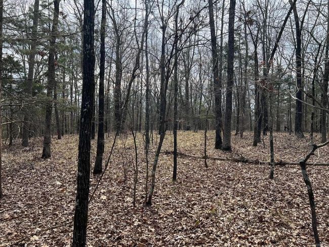 00 Yates Ln, Home with 0 bedrooms, 0 bathrooms and null parking in Tumbling Shoals AR | Image 19
