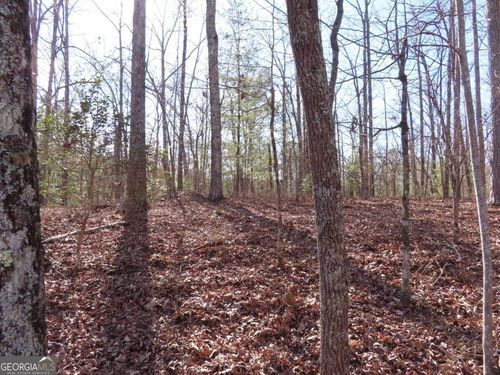 LOT 1906 Finale St, Talking Rock, GA, 30175 | Card Image