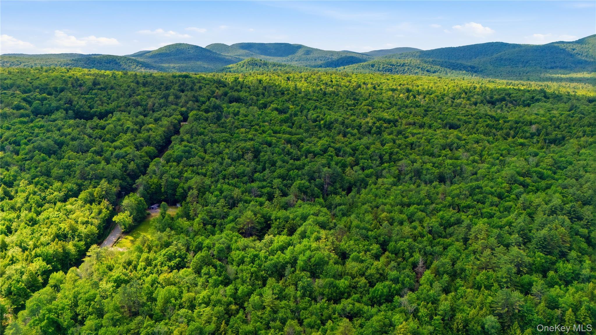 Land in Hadley 5