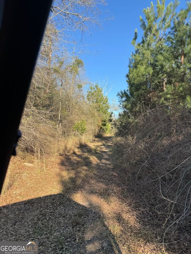 0 Hightower Rd, Home with 0 bedrooms, 0 bathrooms and null parking in Blakely GA | Image 8