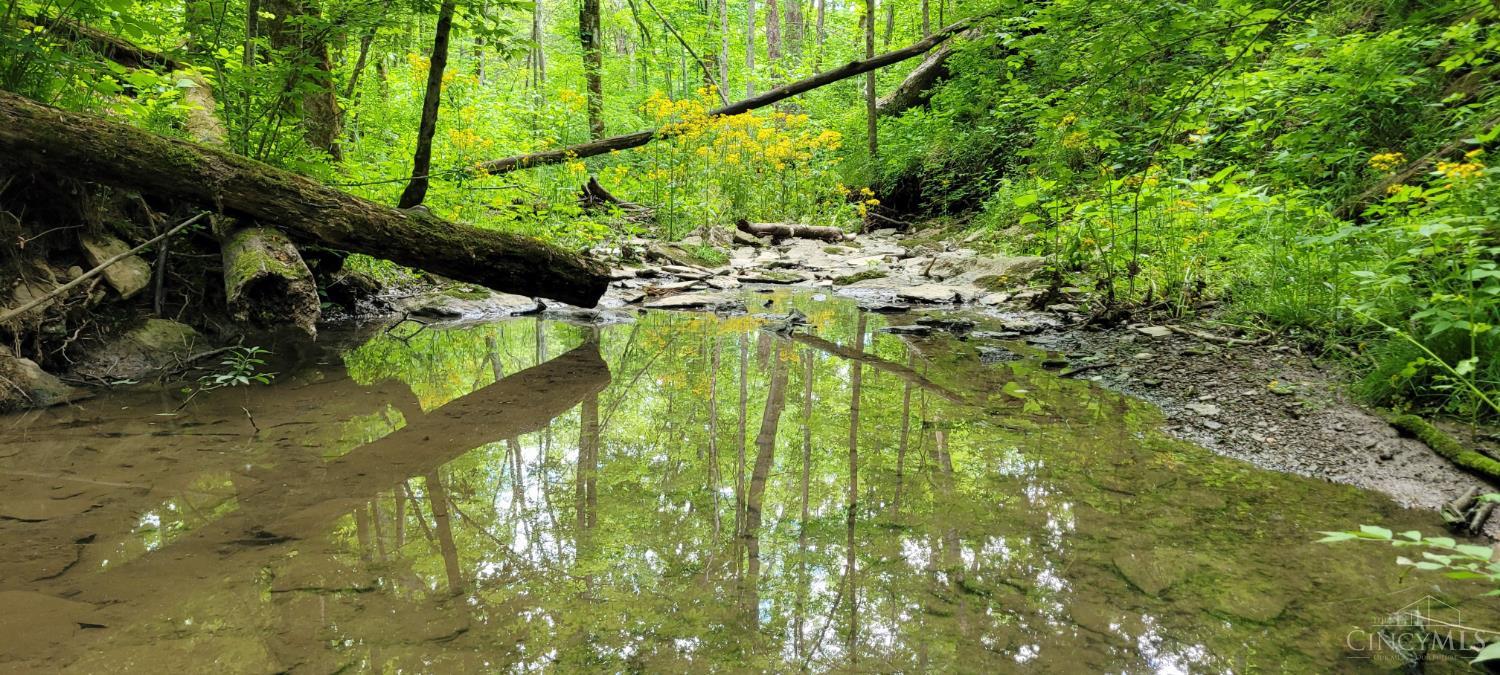 Land in Monroe Twp 2