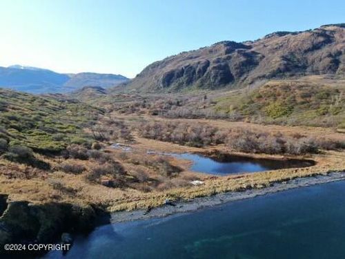 L4 Kizhuyak Dr, Port Lions, AK, 99550 | Card Image